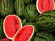 خطر هندوانه‌های رنگی را جدی بگیرید