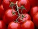 گوجه فرنگی یک هفته ای ۱۰۹.۱ درصد گران شد!