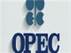 سبد نفتی اوپک ۶۶ دلاری شد/ ۴۴ دلار کمتر از بالاترین قیمت امسال/ وزرات نفت ۵ ماه بدون معاون امور بین‌الملل