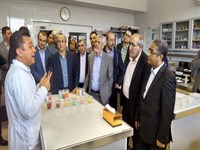 بازدید عضو هیات مدیره بانک ملی ایران از چند واحد تولیدی